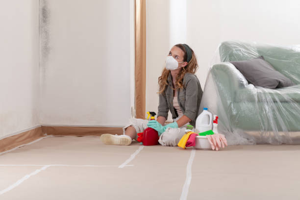 Reliable Black Mold Remediation contractor in Ridgefield, WA by Car Mold Remediation